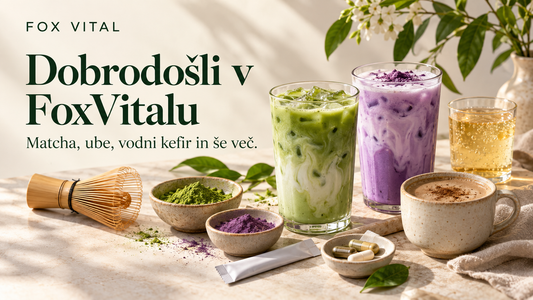 Dobrodošli v FoxVitalu: odkrijte matcho, ube, vodni kefir in še več